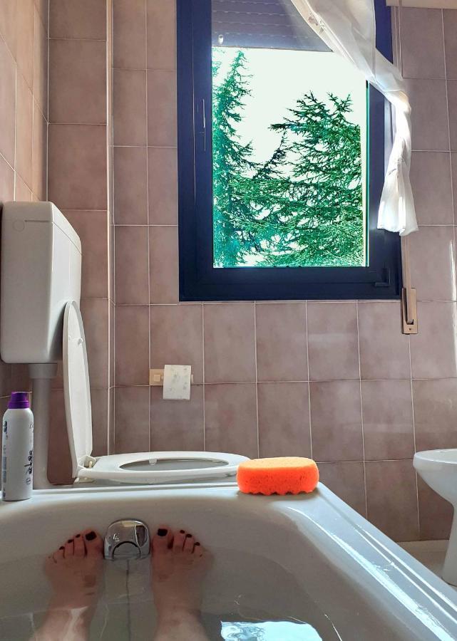 Polinago Hotel Prato Verde מראה חיצוני תמונה